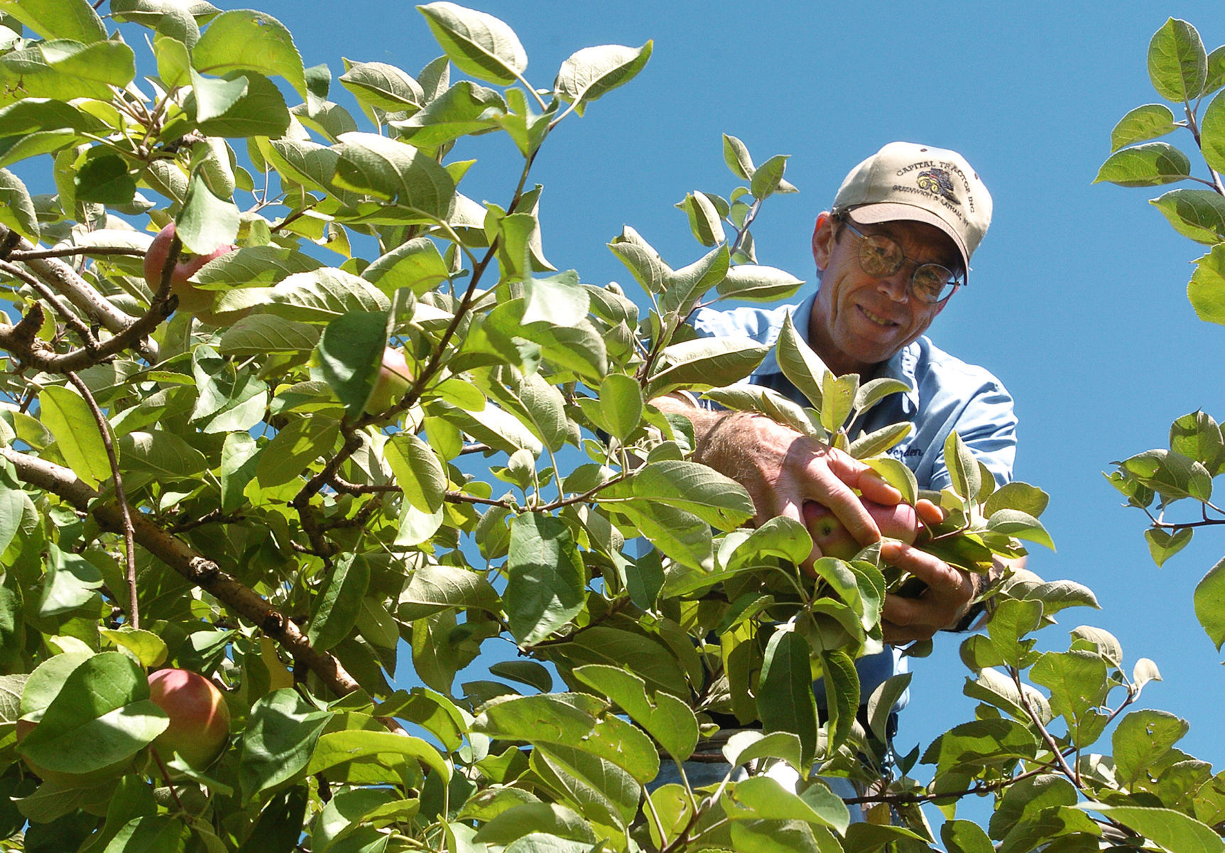 Borden's Orchard